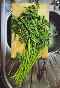 High angle view of vegetables on cutting board