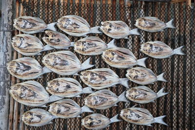 High angle view of fish for sale in market