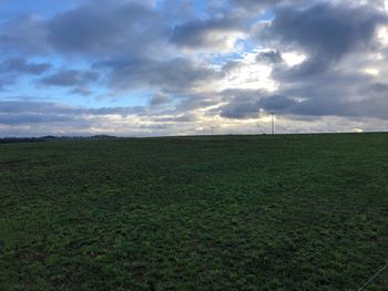 Scenic view of field against sky