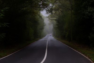 Empty road amidst trees in forest