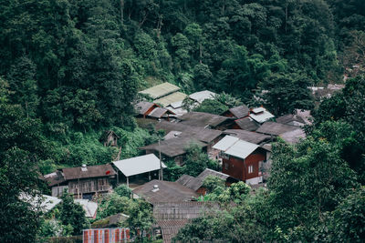 High angle view of trees and houses in forest