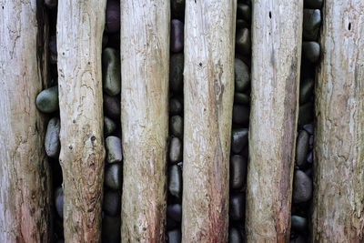 Close-up of wooden groyne against pebbles