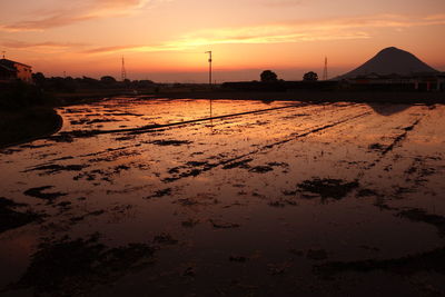 Sunset to illuminate the rice fields