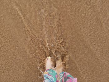 Low section of woman standing at beach