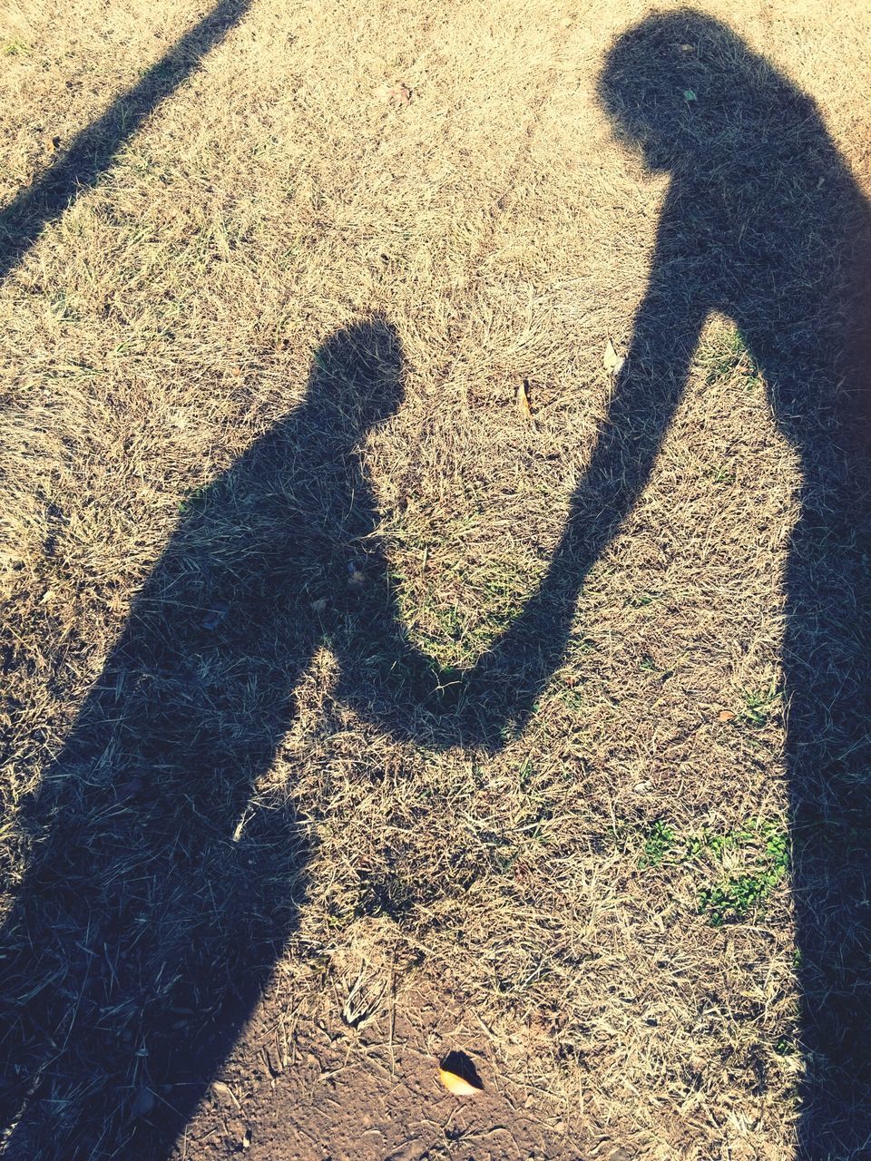 shadow, high angle view, focus on shadow, sunlight, street, lifestyles, leisure activity, men, unrecognizable person, outdoors, standing, day, asphalt, ground, road, love, elevated view