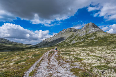 Female wander on trail to kjondalen, rondane nationalpark, høvringen