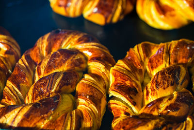Close-up of seashells