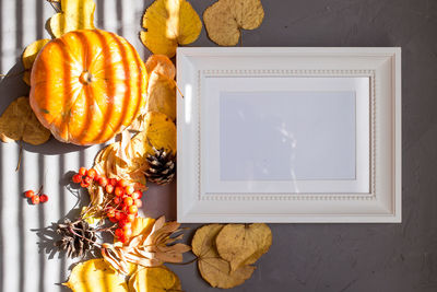 Colorful autumn pattern made of pumpkins, cones, leaves and rowan on gray frame, copy autumn colors