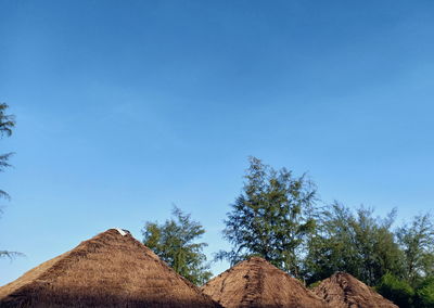 Low angle view of trees against clear blue sky