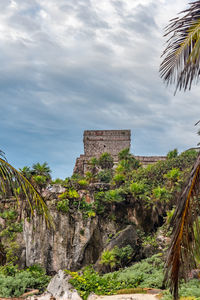 Plants growing in park against sky