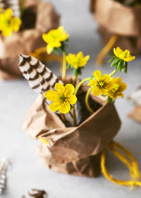 Close-up of yellow flowering plant