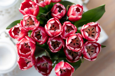 Close-up of pink roses