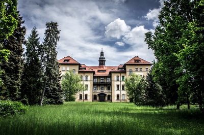 Trees on field against cloudy sky