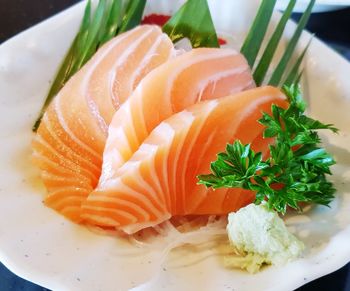 Close-up of fish served in plate