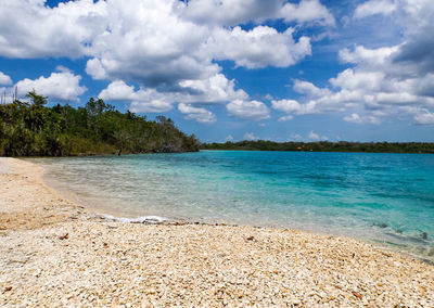 Scenic view of beach against sky