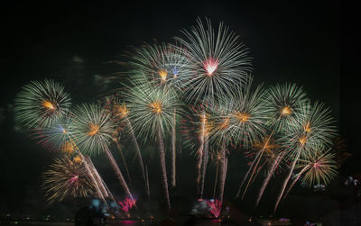 Low angle view of firework display at night