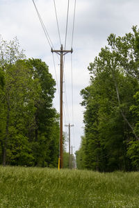 Low angle view of trees and electricity pylon against sky