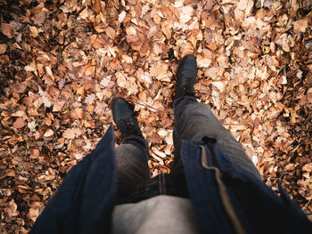 Low section of person standing on autumn leaves