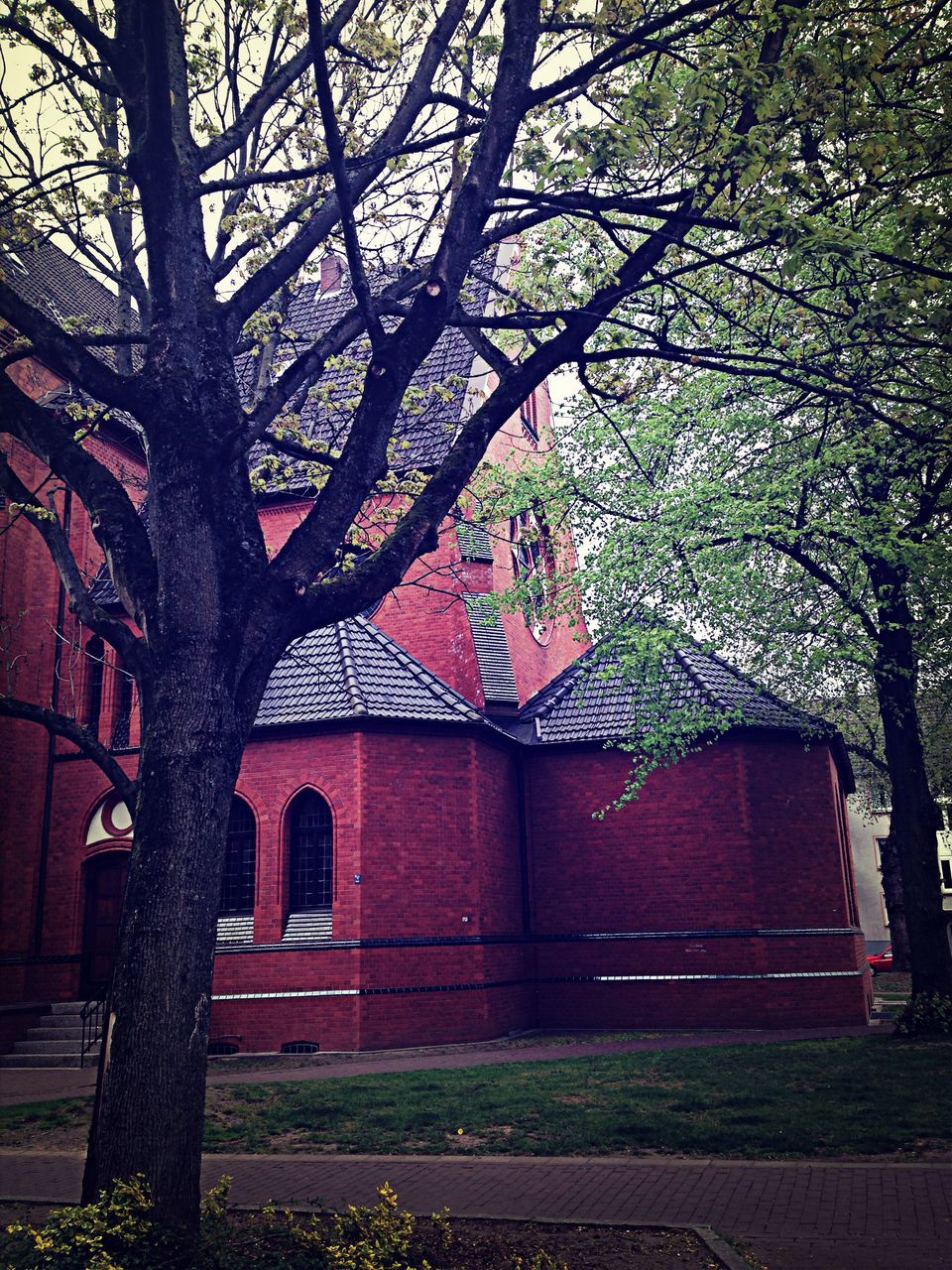 architecture, built structure, building exterior, tree, house, branch, religion, place of worship, growth, spirituality, outdoors, low angle view, no people, day, tree trunk, residential structure, exterior, sky, church