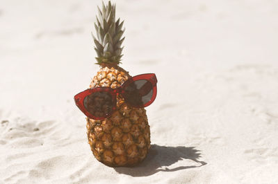 Close-up of fruits on sand at beach