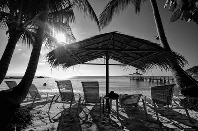 Chairs and palm trees on beach against sky