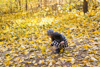 Person standing on yellow leaves during autumn