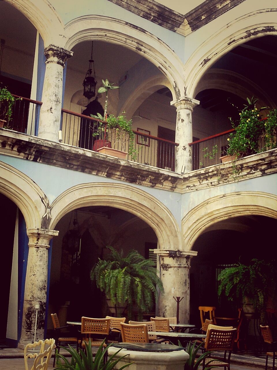 arch, architecture, built structure, tree, building exterior, archway, architectural column, plant, indoors, day, entrance, potted plant, growth, house, no people, incidental people, sunlight, building, old