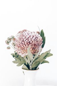 Close-up of rose flower vase against white background