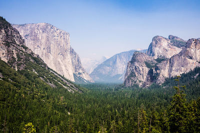 Idyllic shot of green trees amidst rocky mountains in yosemite national park against clear sky