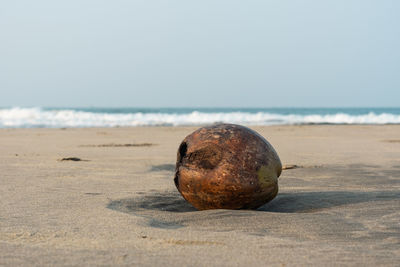 Close-up of stones on beach against sky
