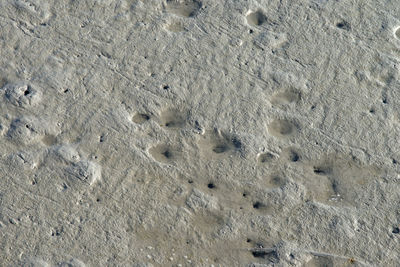 High angle view of footprints on sand at beach