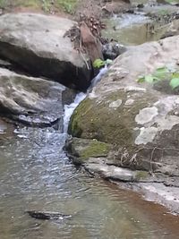 Stream flowing through rocks