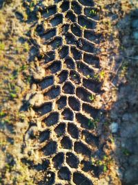 Close-up of textured surface