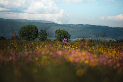 Scenic view of agricultural field against sky