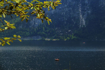 Scenic view of lake by trees