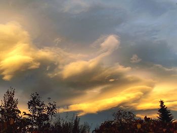 Low angle view of trees against sky during sunset