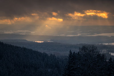 Scenic view of forest against sky during sunset