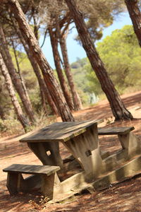 Wooden bench on field in forest