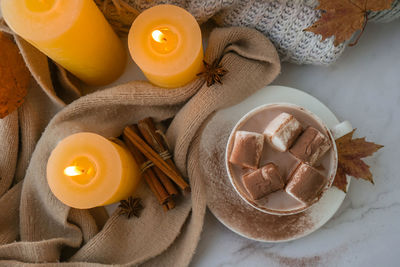 Celebrating autumn holidays at cozy home with cup hot chocolate marshmallows cacao on the windowsill 