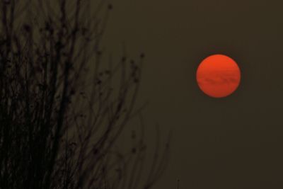 Close-up of red object