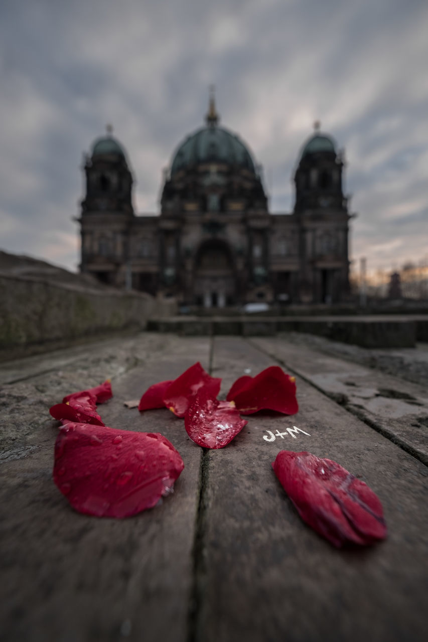 CLOSE-UP OF WET RED FLOWERS AGAINST BUILT STRUCTURE