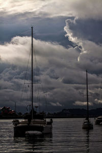 Sailboats sailing in sea against sky