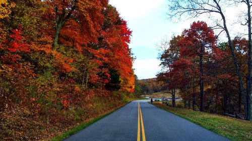 Road passing through trees