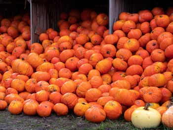 Pumpkins for sale at market stall