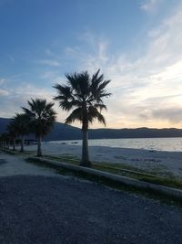 Palm trees by sea against sky at sunset