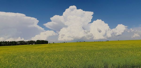 Summer storm clouds billowing shapes blue sky calgary 