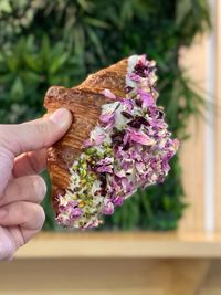 Close-up of hand holding purple flowering plant