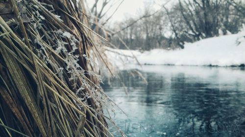 Close-up of frozen lake during winter