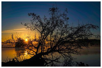 Silhouette tree by lake against sky during sunset