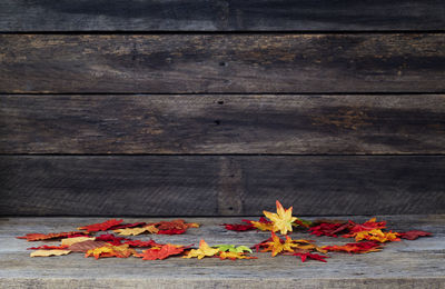 Close-up of orange maple leaves on table